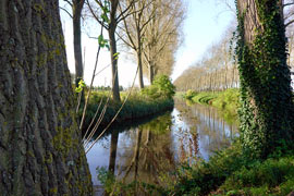 Approximately 11 kilometers from Bruges