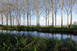 Approximately 11 kilometers from Bruges