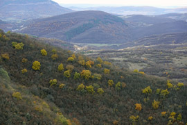 The valley of the Cherni Voda River, as seen from the Glozhene Monastery in Bulgaria