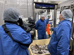 Greenland's Fishing Industry