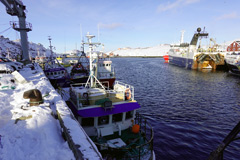 Filming in Greenland: The Port of Nuuk: A fishing boat