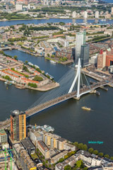 Erasmus Bridge : Rotterdam