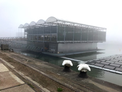 The Floating Farm of Rotterdam, a dairy farm !