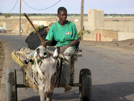 Mauritania, Nouakchott, etc.