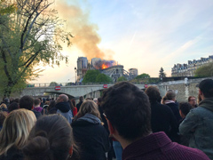 Notre-Dame de Paris Cathedral Fire