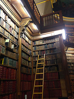 The Library of the National Assembly in Paris