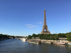 the Eiffel Tower as seen from the Pont de Bir-Hakeim