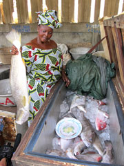 Le marché aux poissons dans le port de Cotonou