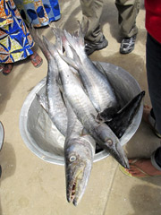 Le marché aux poissons dans le port de Cotonou