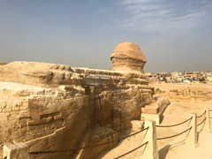 Memphis : Site du Patrimoine Mondial：le Sphinx vu de derrière : on peut voir la ville de Gizeh tout près.