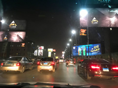 Entre l'aeroport et le Caire : un foret sans fin de panneaux publicitaires.