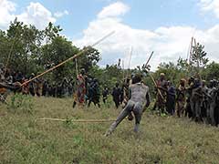Le combat au bâton, le Donga, chez les Surmas.