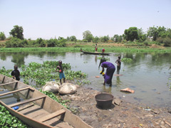 Les rives du fleuve Niger à Bamako