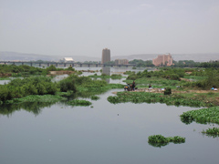 Bamako