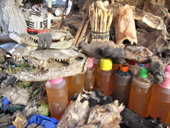 Un marché à Bamako : Ces "produits" sont utilisés dans la médecine traditionnelle, ainsi que par certains marabouts ou "sorciers"