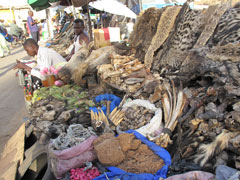 Un marché à Bamako : Ces "produits" sont utilisés dans la médecine traditionnelle, ainsi que par certains marabouts ou "sorciers"