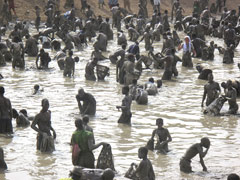 Mali : la Fête du Poisson en pays Dogon