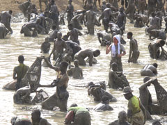 Mali : la Fête du Poisson en pays Dogon