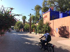 Jardin Majorelle