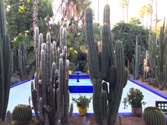 Jardin Majorelle