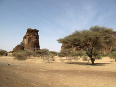 La Mauritanie