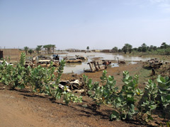 Bien qu’en plein Sahara, des épisodes d’inondations surviennent parfois !