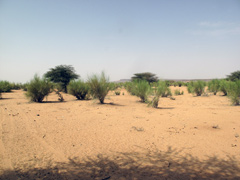 La Mauritanie