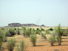 La Mauritanie