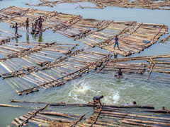 Les jeunes habitants de Makoko utilisent les troncs de bois qui descendent le fleuve pour nager, pêcher et jouer.