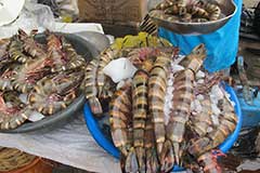 Des crevettes au marché