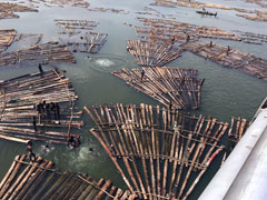 Les jeunes habitants de Makoko utilisent les troncs de bois qui descendent le fleuve pour nager, pêcher et jouer.