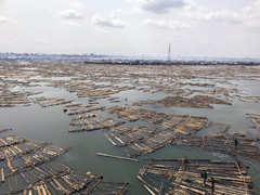 Les jeunes habitants de Makoko utilisent les troncs de bois qui descendent le fleuve pour nager, pêcher et jouer.