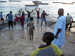 La prises des pêcheurs à Dakar : Ces pêcheurs sont principalement de l'ethnie sérère.