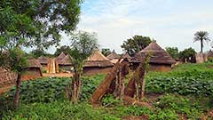 Soudan du Sud