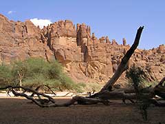 le plateau de l'Ennedi