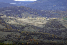La vallée de la rivière Cherni Voda, vue depuis le monastère de Glozhene en Bulgarie