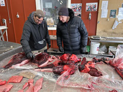 Marché d'aliments pour la cuisine traditionnelle groenlandaise : la viande de phoque.