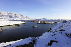 Le Groenland : le port de Nuuk