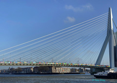Le pont Érasme (en néerlandais : Erasmusbrug) : Rotterdam