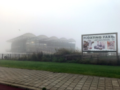 La Ferme Flottante de Rotterdam, un ranch, ou plutôt une ferme laitière flottante !