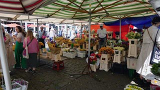 Le marché aux fleurs d'Amsterdam