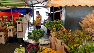 Le marché aux fleurs d'Amsterdam