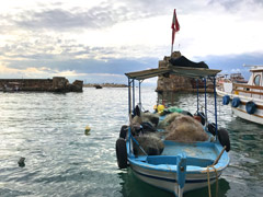 Le port de Byblos