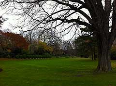 Le Jardin de Luxembourg