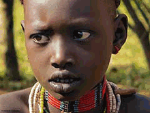 ハマル族：又はハマー族