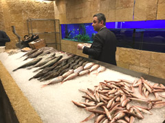 レバノンは当然の様に新鮮な魚も多い