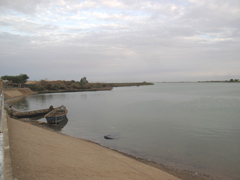 セネガル川河