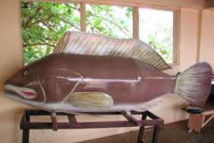 魚の形の棺