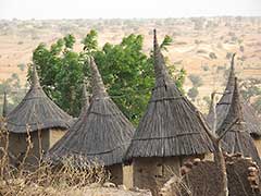 ドゴン族の村：倉の屋根