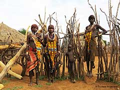 エチオピアのハマー族，ハマル族又はハマル族